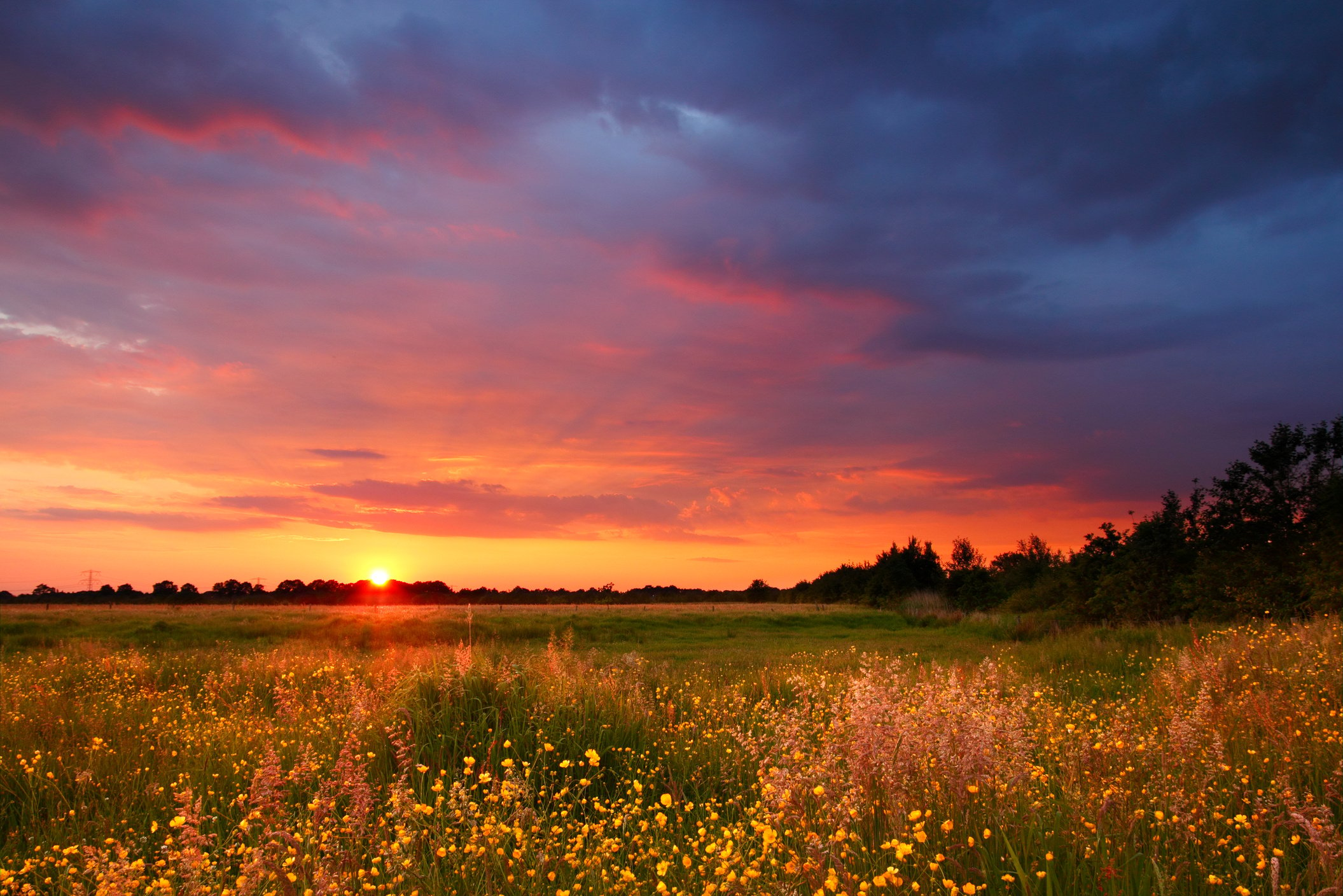 Sunset landscape