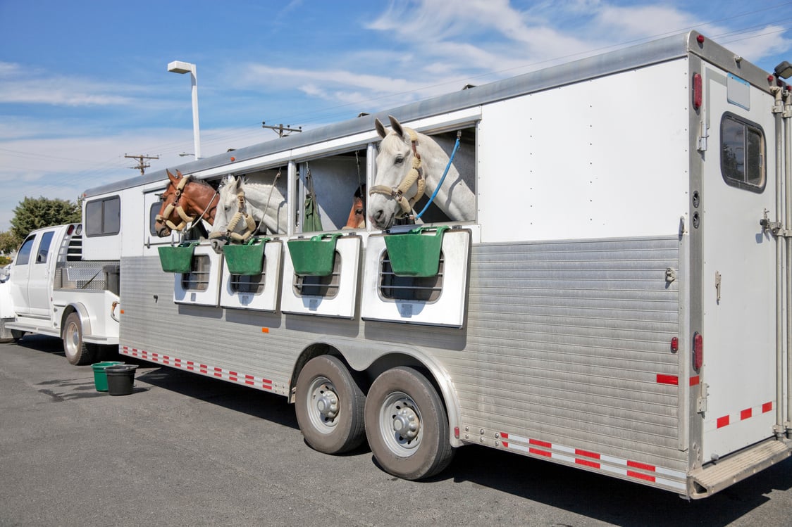 Horse Trailer